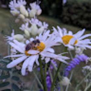 Meet your Posher, Sydney